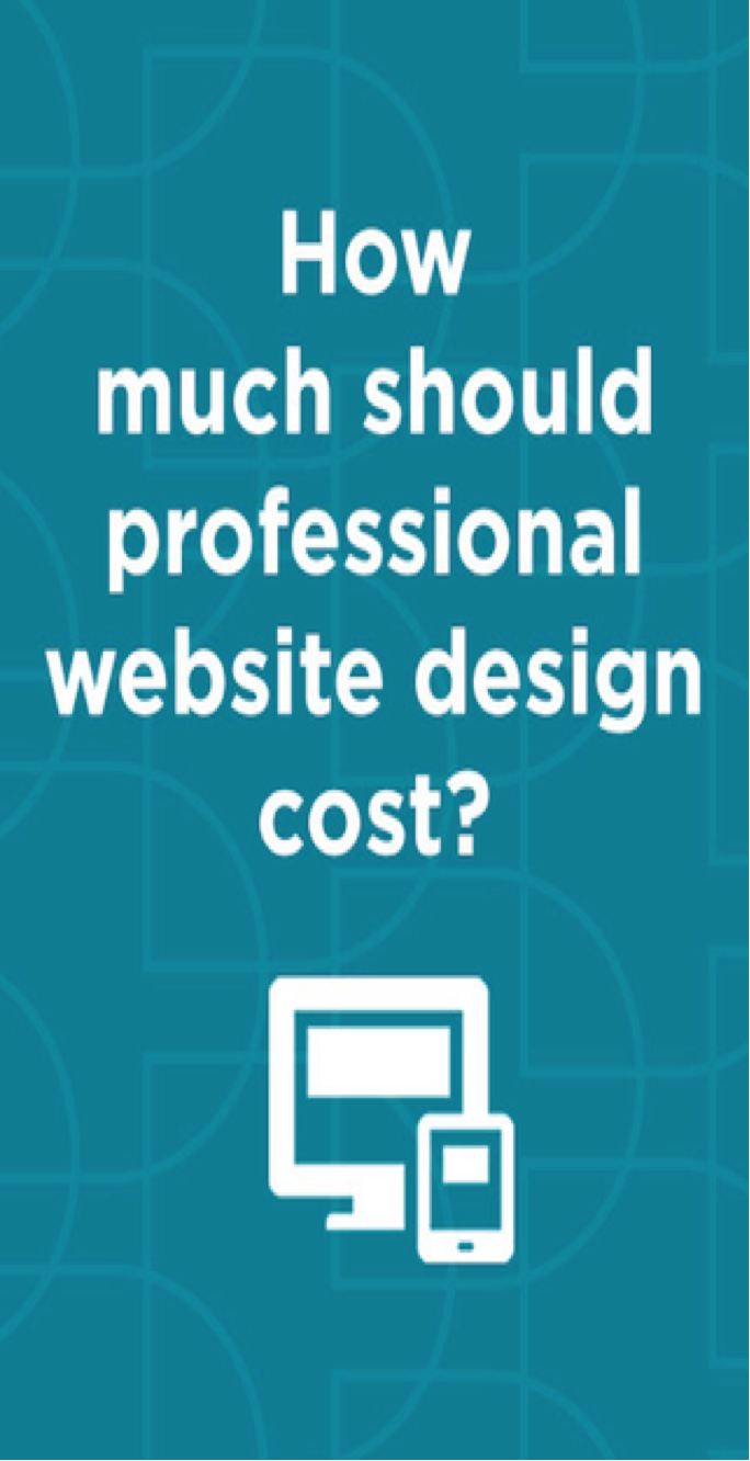 Small business web design cost
